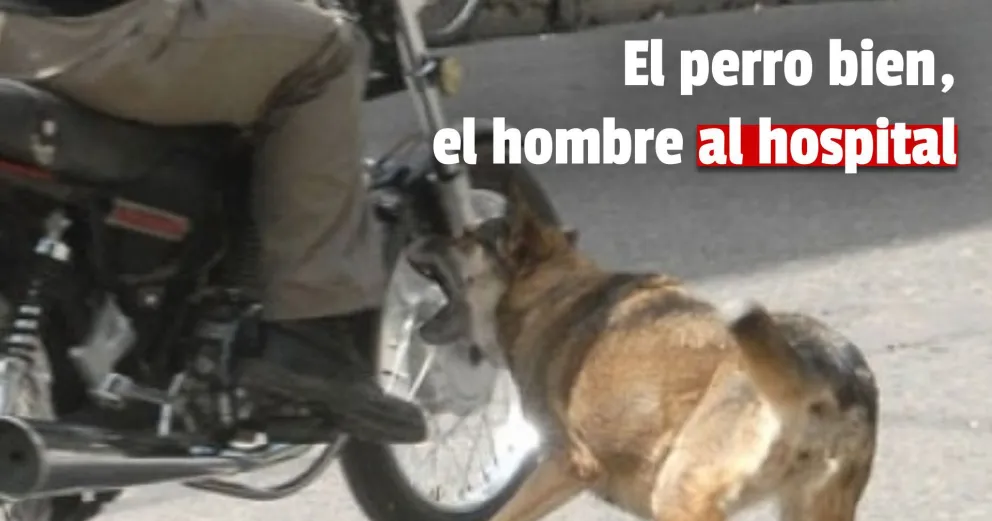 Por esquivar un perro cayó de su moto y resultó herido