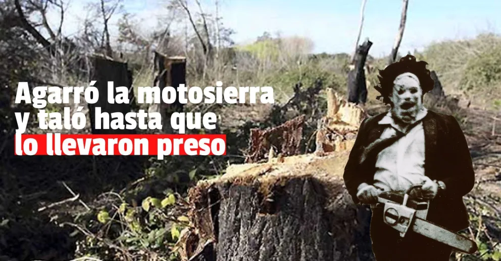 Taló 60 álamos de una propiedad privada y fue detenido