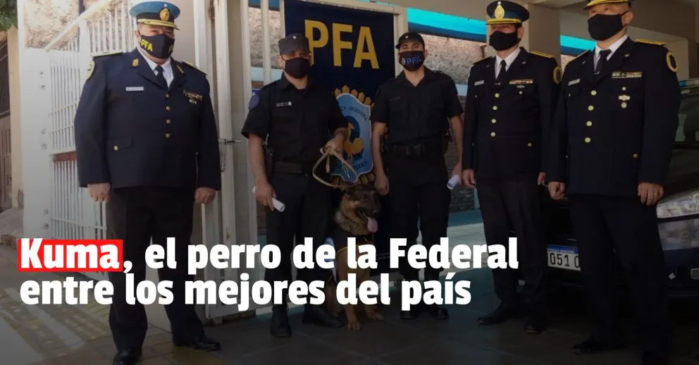 Kuma, el perro de la Policía Federal fue premiado a nivel nacional