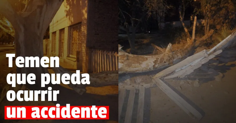 Preocupación de vecinos que viven en el límite entre dos departamentos por la caída de una rama