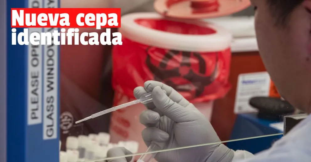 Detectaron una nueva cepa de coronavirus en Reino Unido y otros nueve países