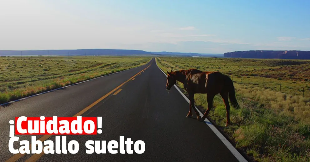 Chocó contra un árbol y terminó con un brazo quebrado