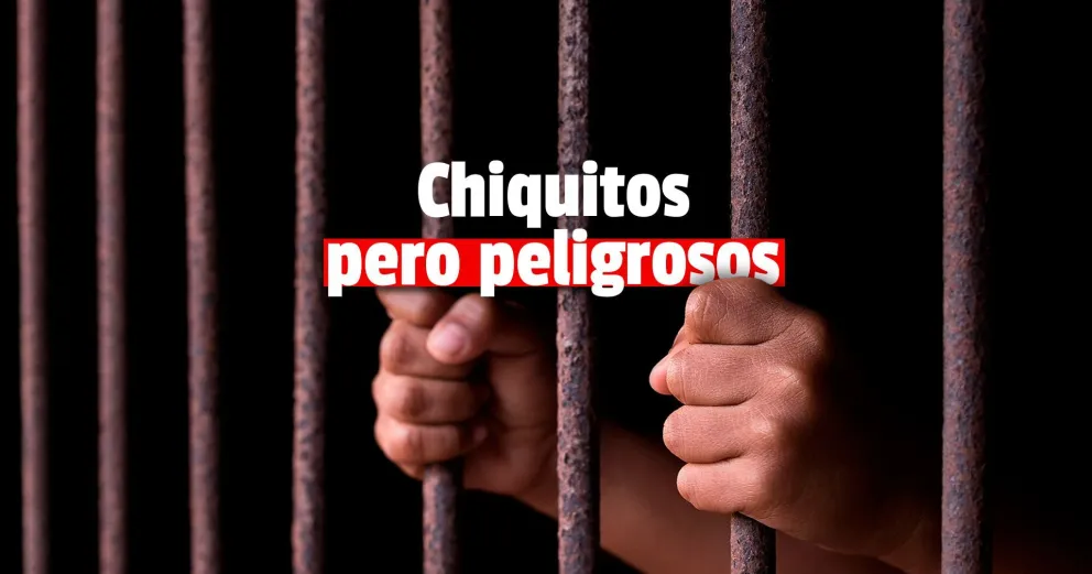 Un adolescente fue detenido tras robar y le secuestraron un arma