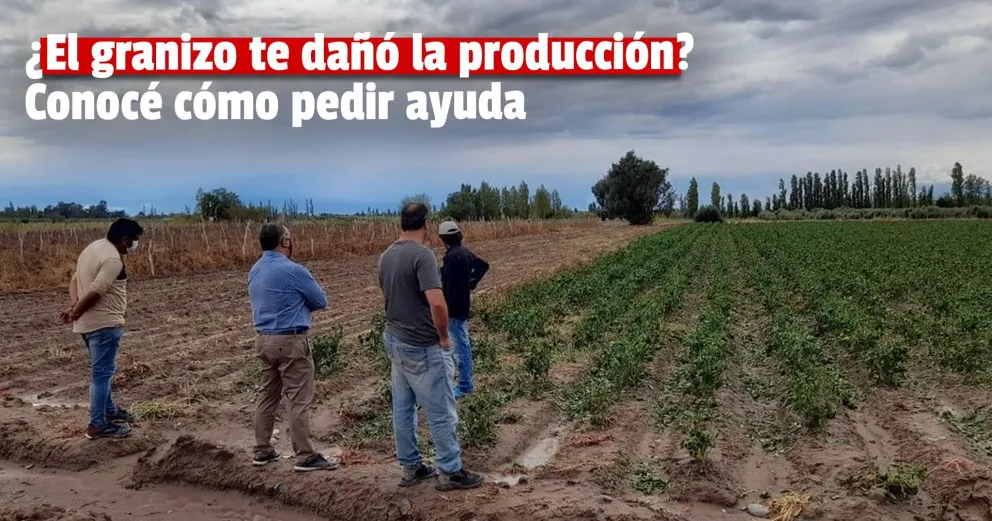 Brindarán asistencia a los productores afectados por el fuerte granizo