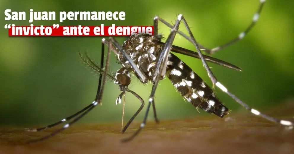En el tramo final del verano, San Juan no ha registrado nuevos casos de dengue