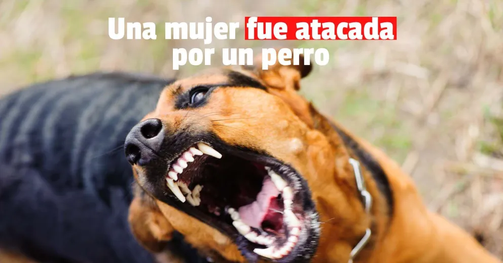 Un perro mordió a una mujer de 57 años y la mandó al hospital