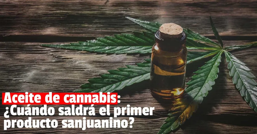 Este año esperan producir el primer aceite de cannabis en la provincia