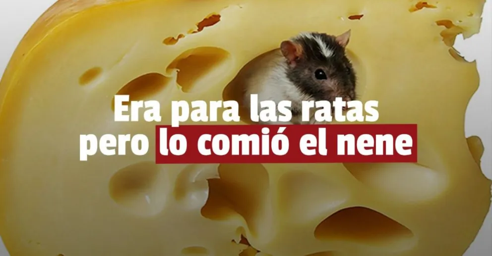 Un nene comió veneno para ratas en un queso