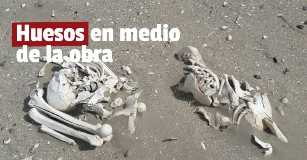 Encontraron restos óseos en un terreno de Rodeo