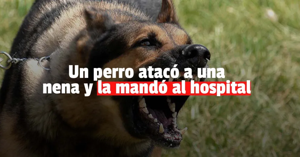Un perro atacó a una nena de 12 años