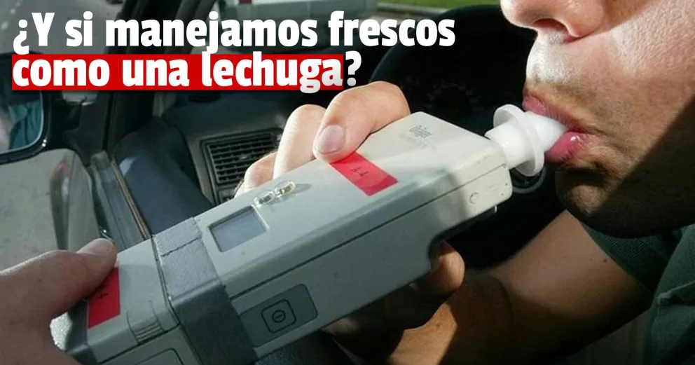 Un senador propone la tolerancia cero del alcohol al volante