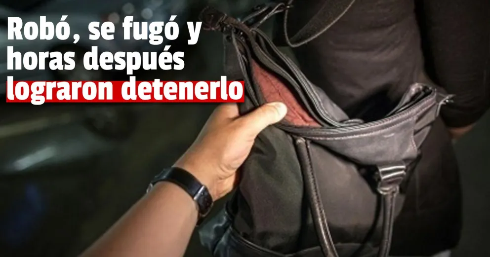 Detuvieron a un hombre por robar una cartera del interior de una casa