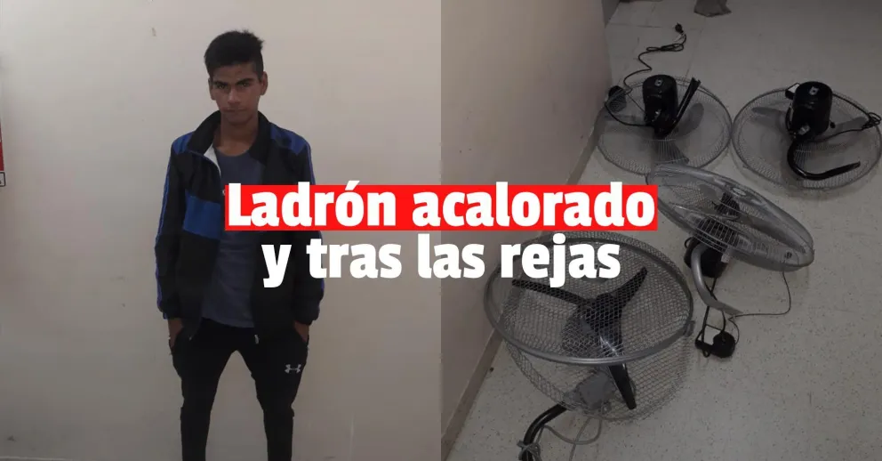 Se robó cuatro ventiladores de una escuela y lo detuvieron