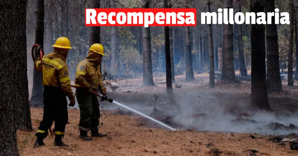 Ofrecen $3 millones de recompensa para encontrar a los responsables de los incendios en Chubut