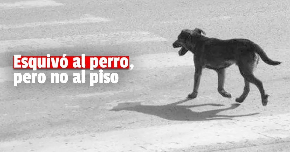 Por esquivar a un perro, un policía cayó de su moto y debió ser hospitalizado