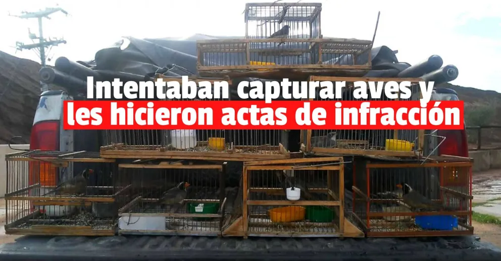 En los últimos días realizaron diez actas de infracción por depredación de la fauna
