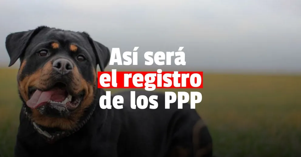 Ley Lara: lo que hay que tener en cuenta si tenés un perro potencialmente peligroso