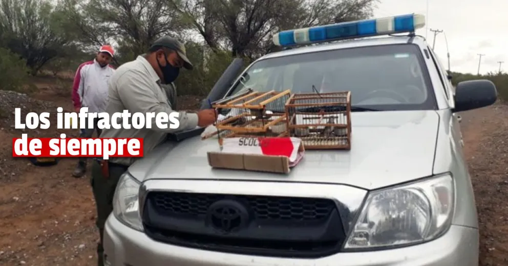 Labraron infracciones en operativos de conservación de flora y fauna