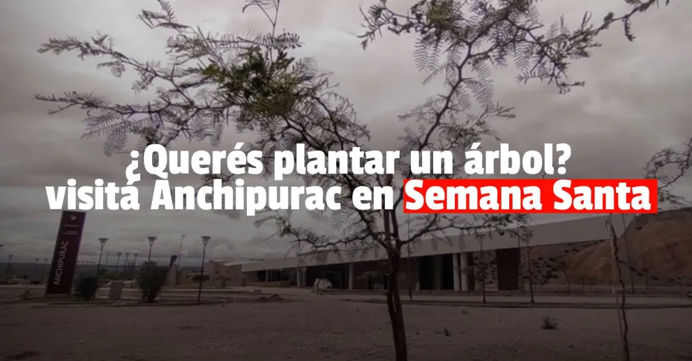 Anchipurac invita a sus visitantes a plantar un árbol en Semana Santa