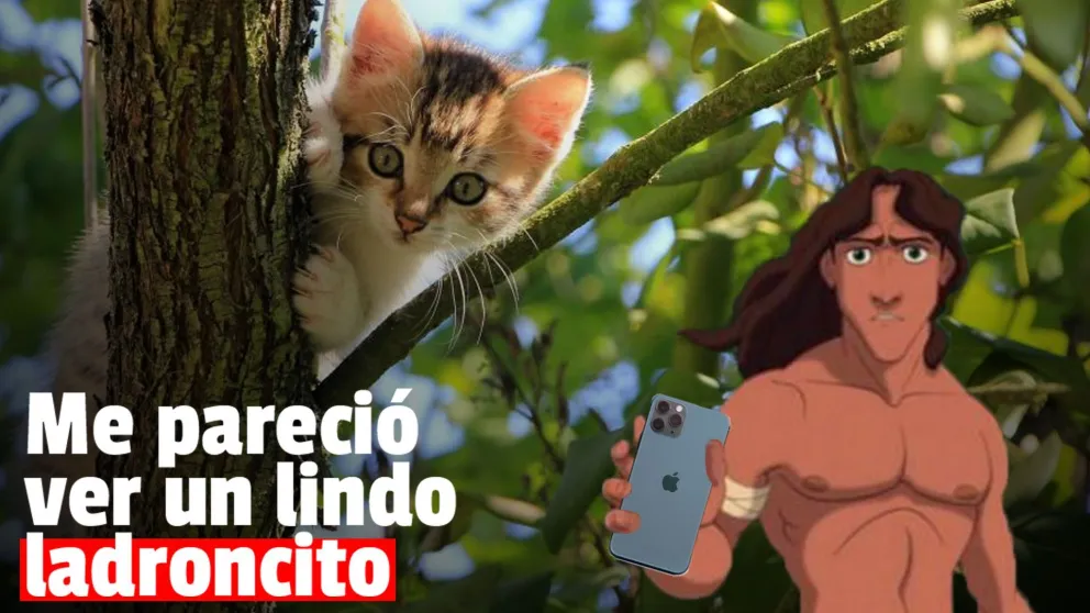 Robó tres celulares y para que la policía no lo atrape se subió a un árbol