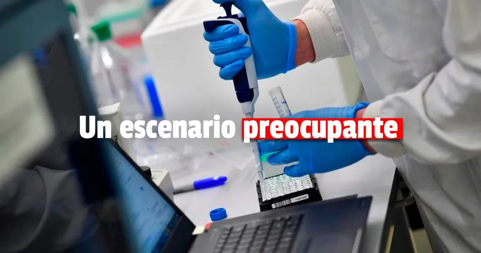 Cuatro de las nuevas cepas del coronavirus ya tienen circulación comunitaria en la Argentina