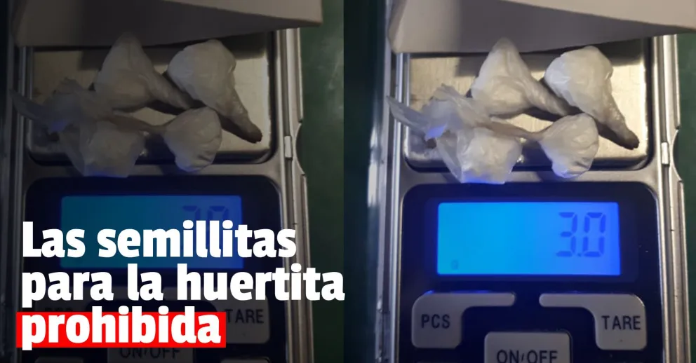 Gendarmería secuestró cocaína y semillas de marihuana en dos operativos