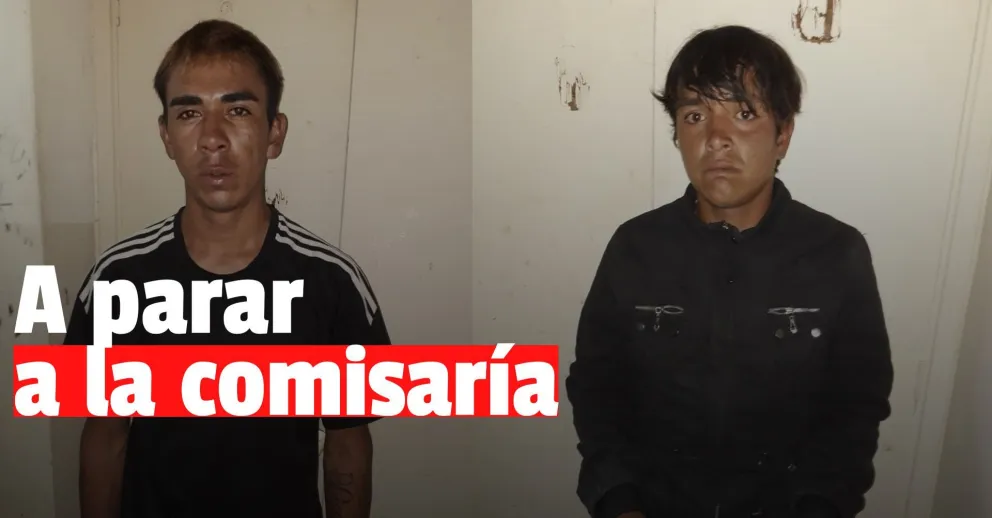 Tres delincuentes robaron una bicicleta y sillas de un domicilio de Rivadavia