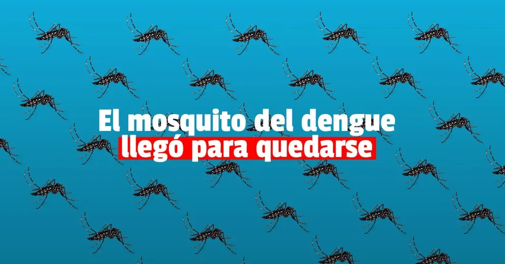 Aseguran que el mosquito que transmite el dengue ya está asentado en casi toda la provincia