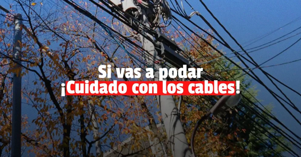 Quiso podar los árboles y terminó electrocutado