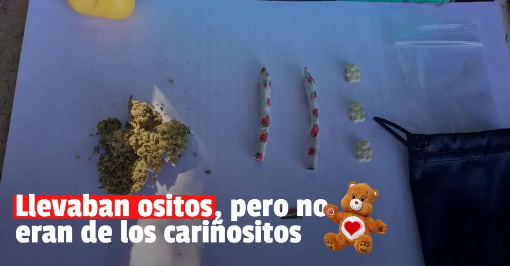 Incautaron pastillas de éxtasis en Jáchal