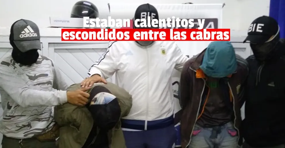 Se fugaron de la comisaría y un mes después volvieron a detenerlos