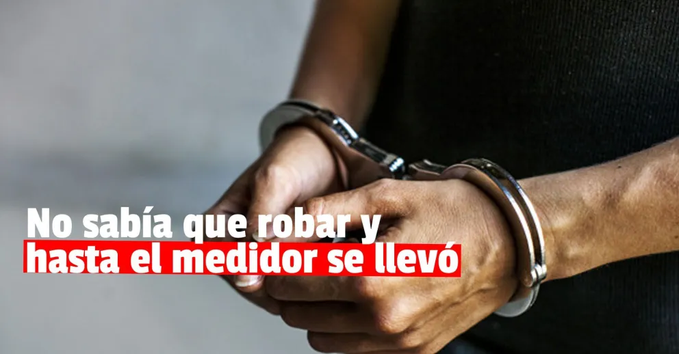 Le robaron hasta el medidor de luz a una mujer de Rivadavia