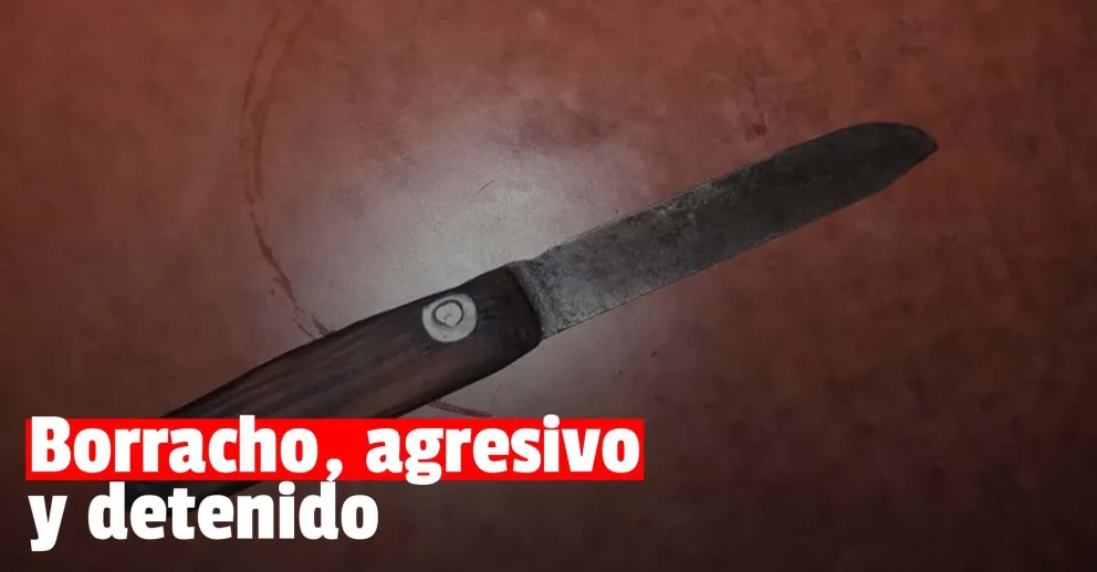 Llegó borracho a la casa, agredió a su pareja y la amenazó con un cuchillo