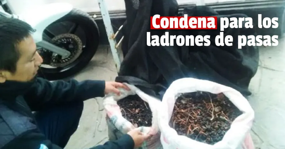 Por robar pasas fueron condenados a dos años de prisión condicional