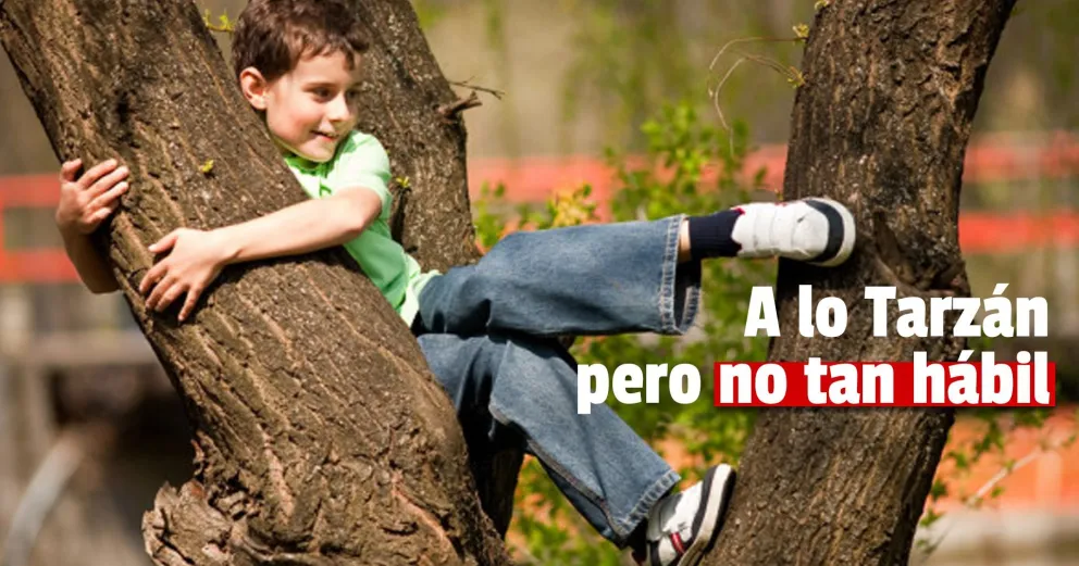 Un niño quedó hospitalizado tras caer de un árbol en la escuela