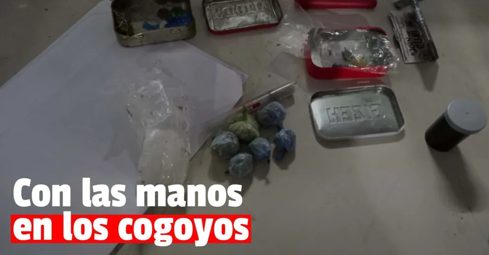Detuvieron a tres personas por llevar marihuana en las mochilas