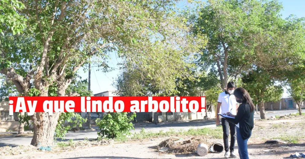 Realizan un diagnóstico de la arboleda en el ex Asentamiento David Chávez