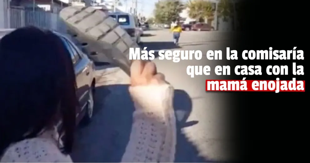 Robó una bolsa de cemento y su mamá lo entregó a la policía