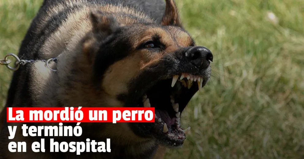 Una nena terminó en el hospital tras ser mordida por un perro
