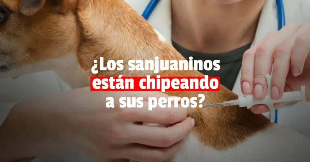 Hasta el momento se realizaron pocos registros de perros potencialmente peligrosos