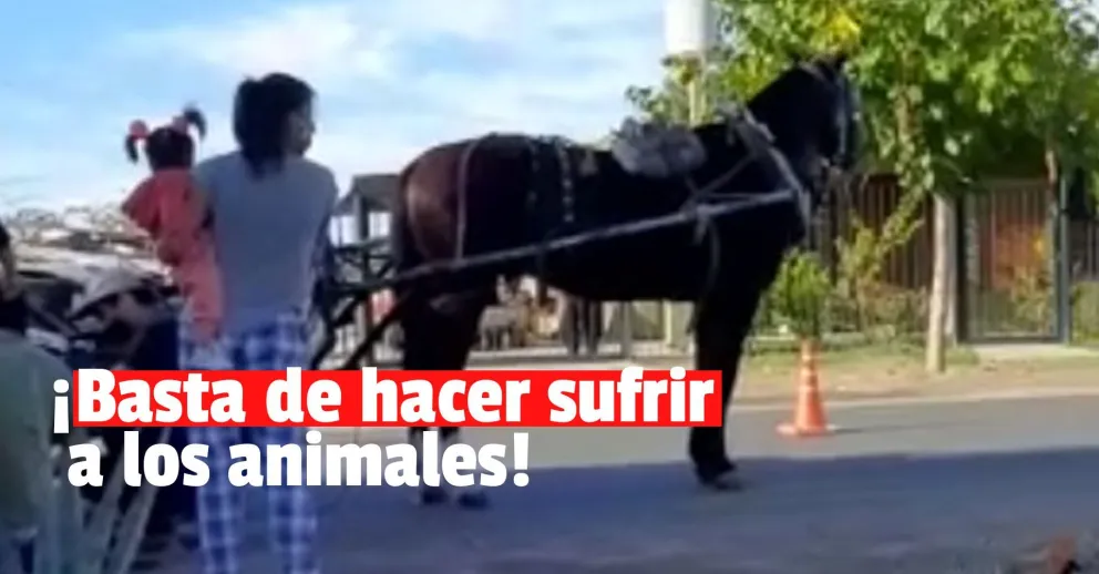 Una carreta perdió su rueda y un caballo cayó en medio de la calle
