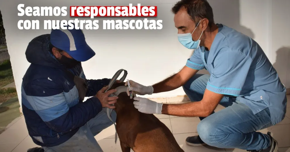 Pocito: culminó la primera jornada de vacunación antirrábica en el CIC de Zona Norte