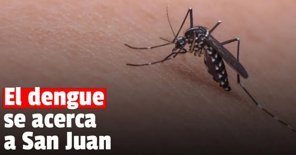 Registraron cinco casos de dengue autóctono en San Luis