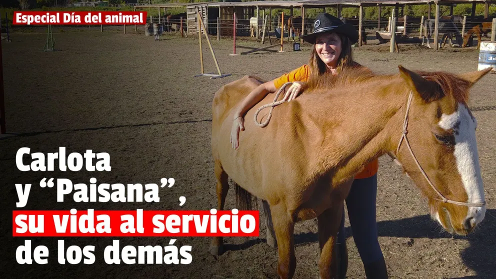 Conocé la Fundación Caricias y Relinchos, dedicada a la equinoterapia