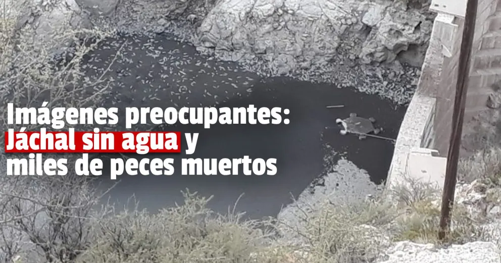 Alarmantes imágenes: el dique Los Cauquenes está casi vacío y con miles de peces muertos