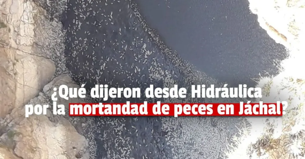 Hidráulica informó que una rotura en un caño provocó la fuga de agua y la muerte de peces