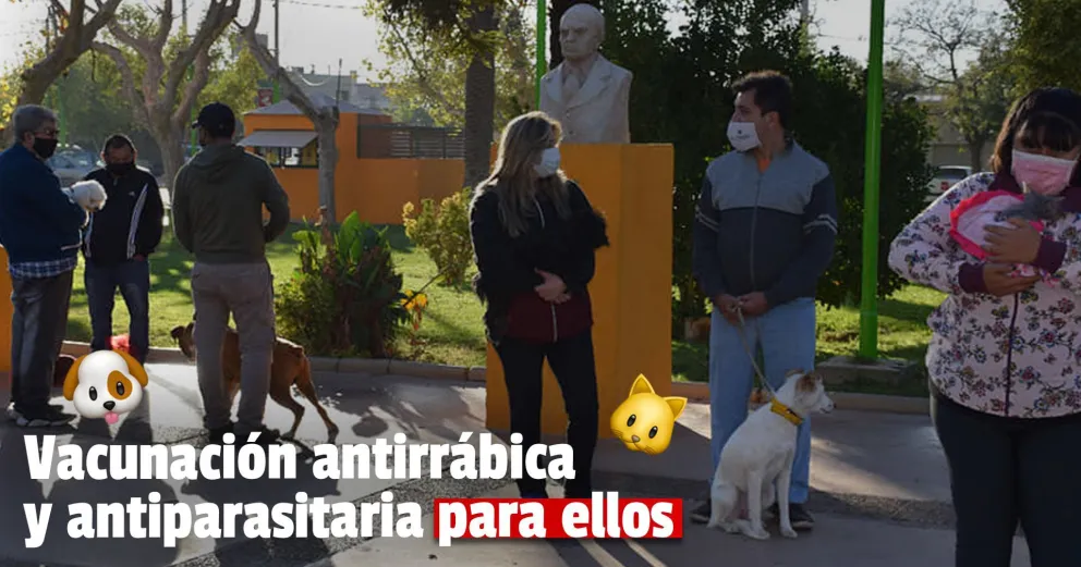 Pocito: en el Día del Animal se vacunaron 170 mascotas