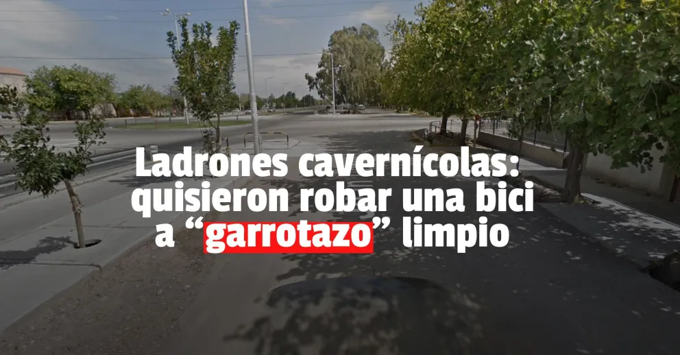 Le dieron un palazo en la cabeza para robarle la bicicleta