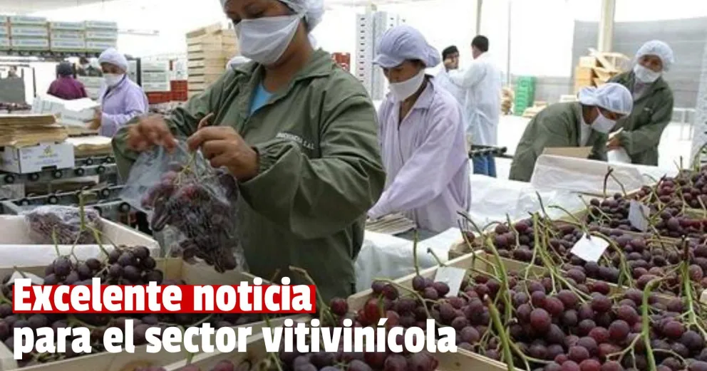 San Juan podrá exportar uva sin bromurar a Brasil