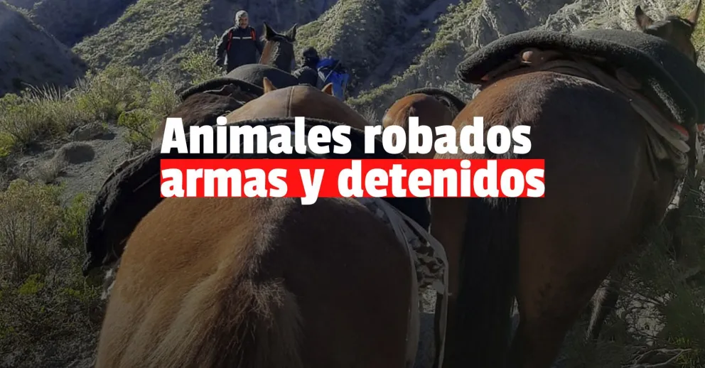 Cae una peligrosa banda que robaba animales en Los Berros